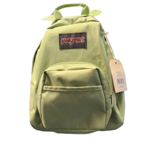 Mini 10L Jansport backpack  in mint green